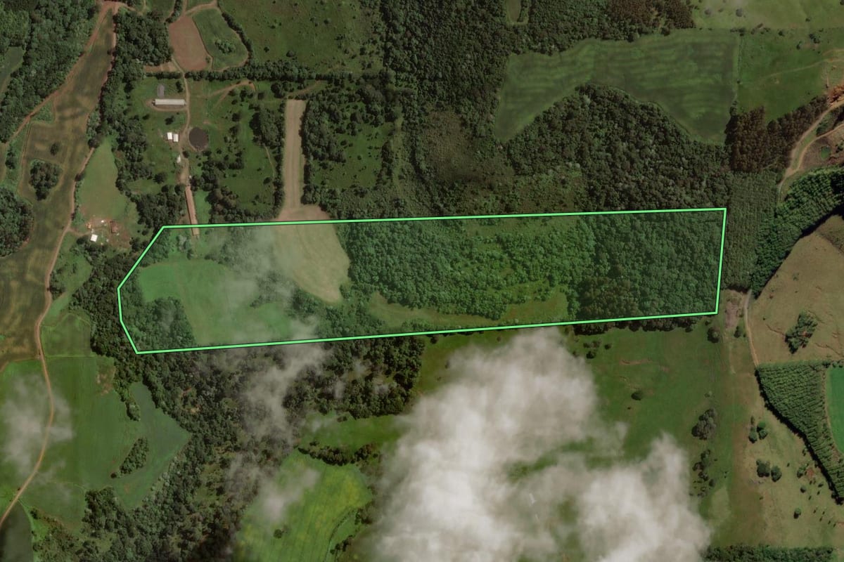 Imagem de satélite do imóvel rural em Treze Tílias (SC), com o contorno declarado no CAR desenhado por cima.