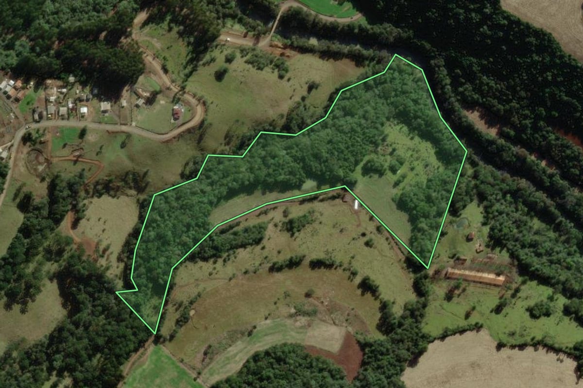 Imagem de satélite do imóvel rural em Treze Tílias (SC), com o contorno declarado no CAR desenhado por cima.