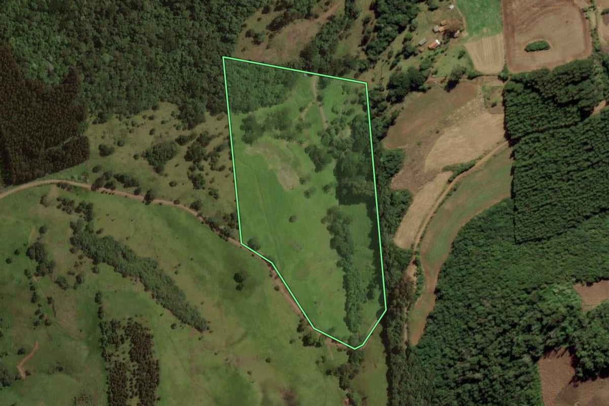 Imagem de satélite do imóvel rural em Treze Tílias (SC), com o contorno declarado no CAR desenhado por cima.
