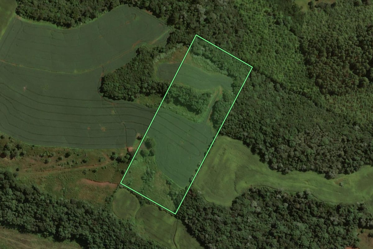 Imagem de satélite do imóvel rural em Treze Tílias (SC), com o contorno declarado no CAR desenhado por cima.