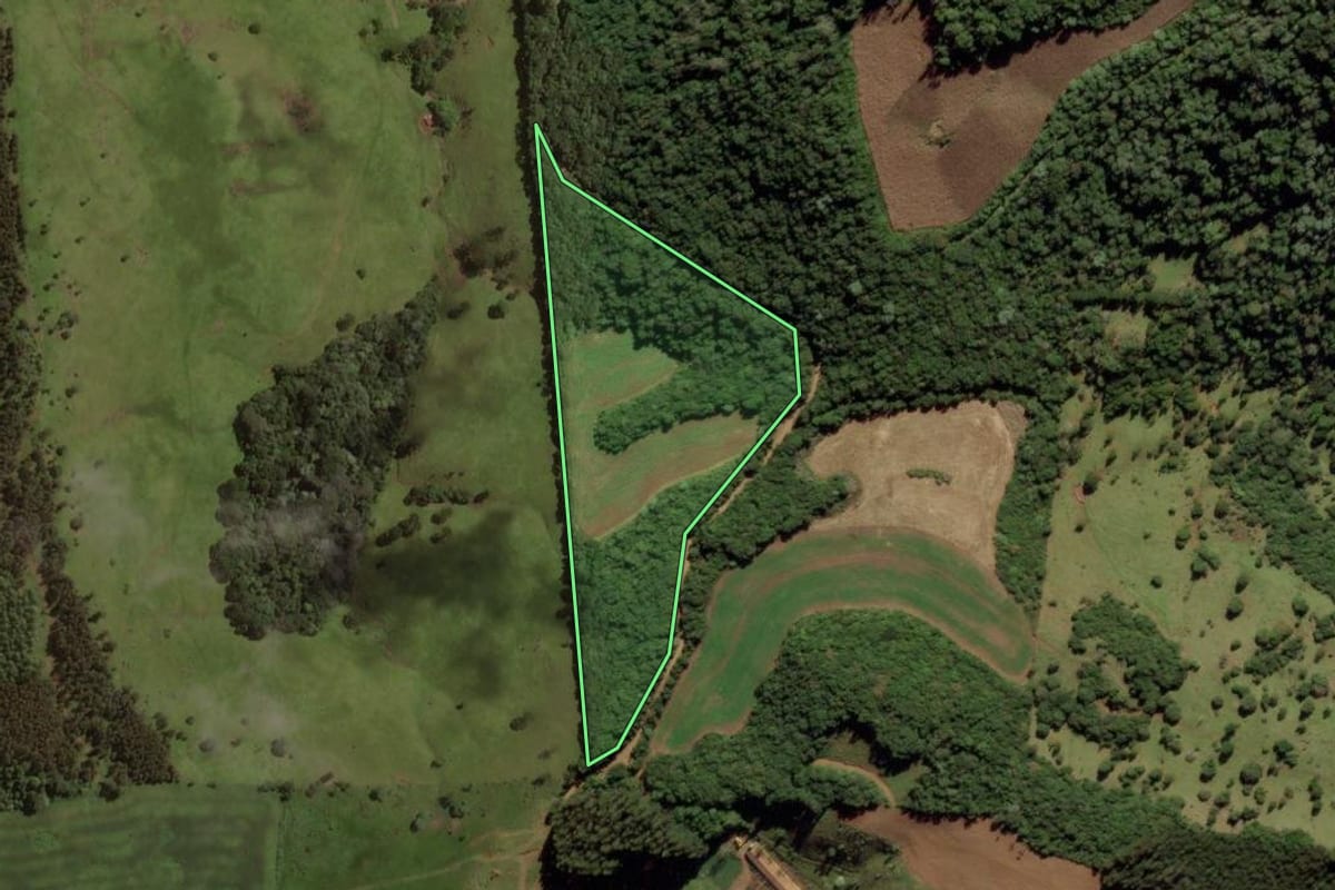 Imagem de satélite do imóvel rural em Treze Tílias (SC), com o contorno declarado no CAR desenhado por cima.