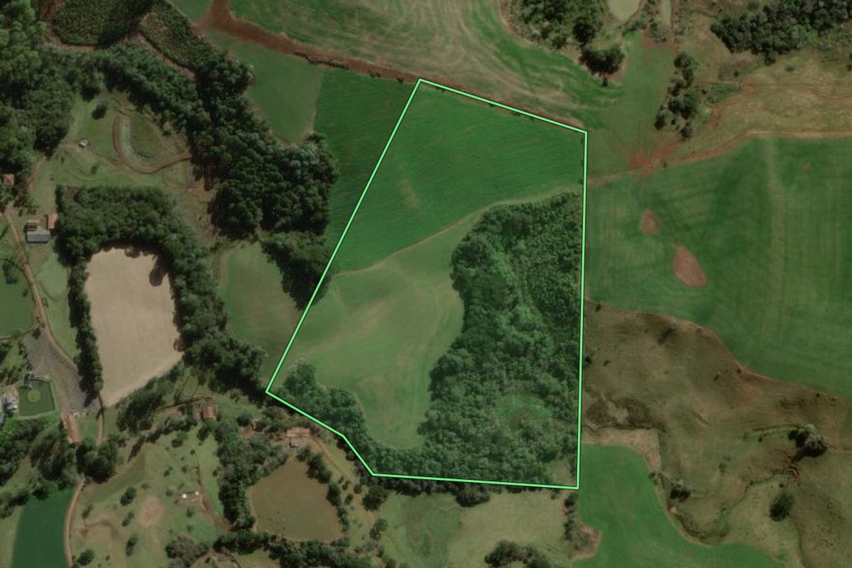 Imagem de satélite do imóvel rural em Treze Tílias (SC), com o contorno declarado no CAR desenhado por cima.