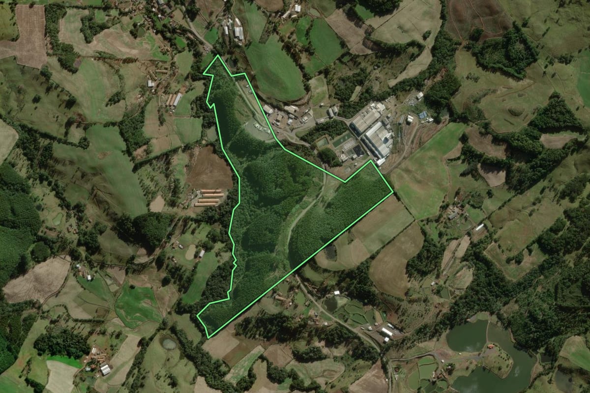 Imagem de satélite do imóvel rural em Treze Tílias (SC), com o contorno declarado no CAR desenhado por cima.
