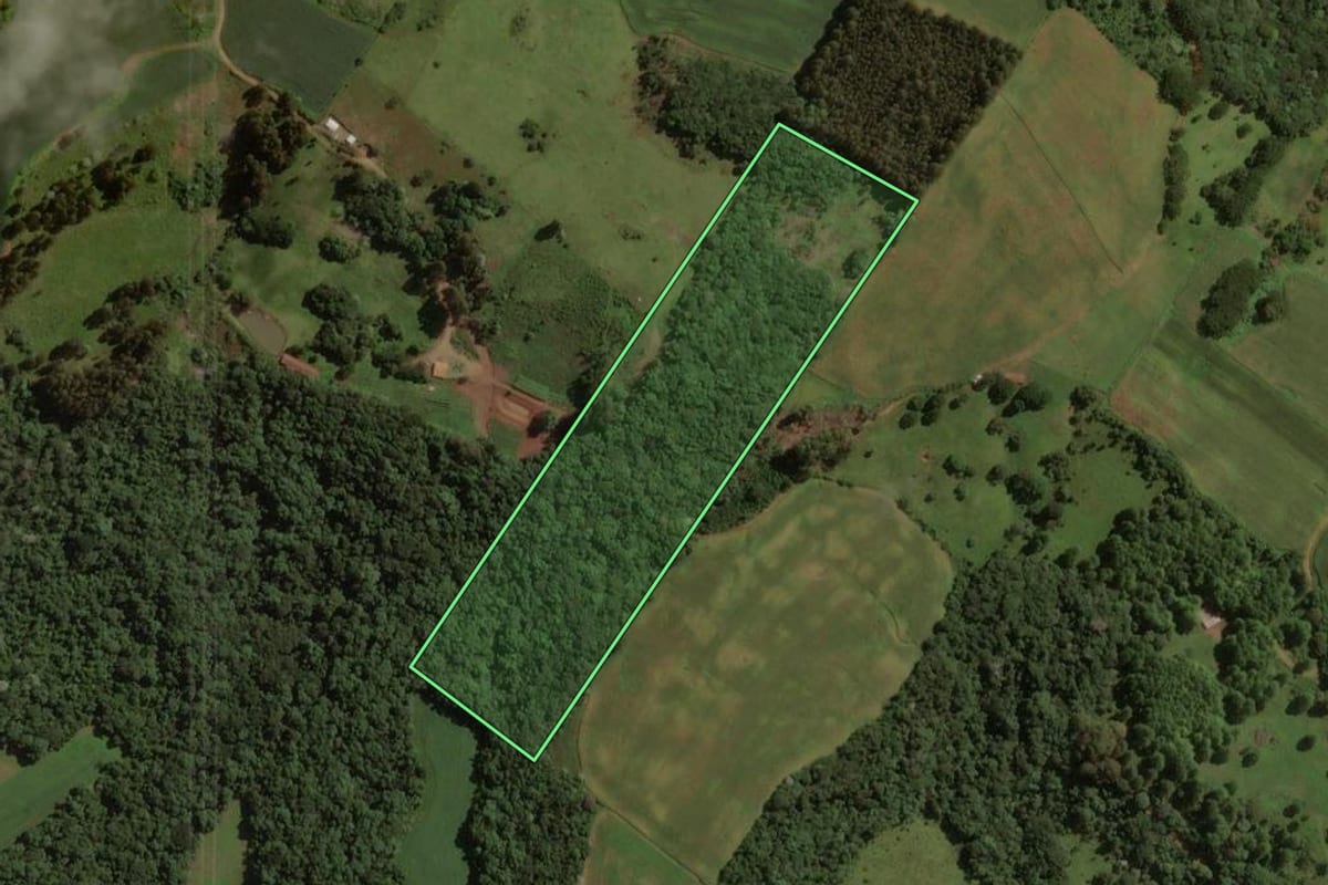 Imagem de satélite do imóvel rural em Treze Tílias (SC), com o contorno declarado no CAR desenhado por cima.