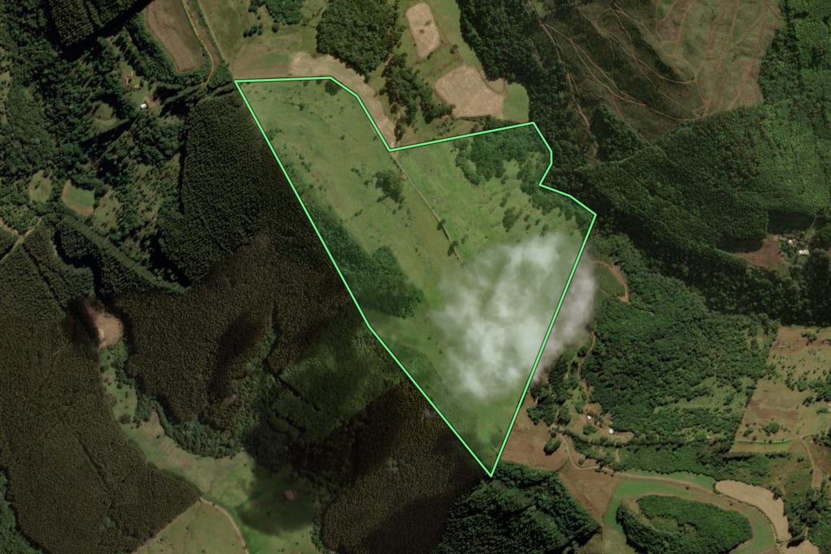 Imagem de satélite do imóvel rural em Treze Tílias (SC), com o contorno declarado no CAR desenhado por cima.