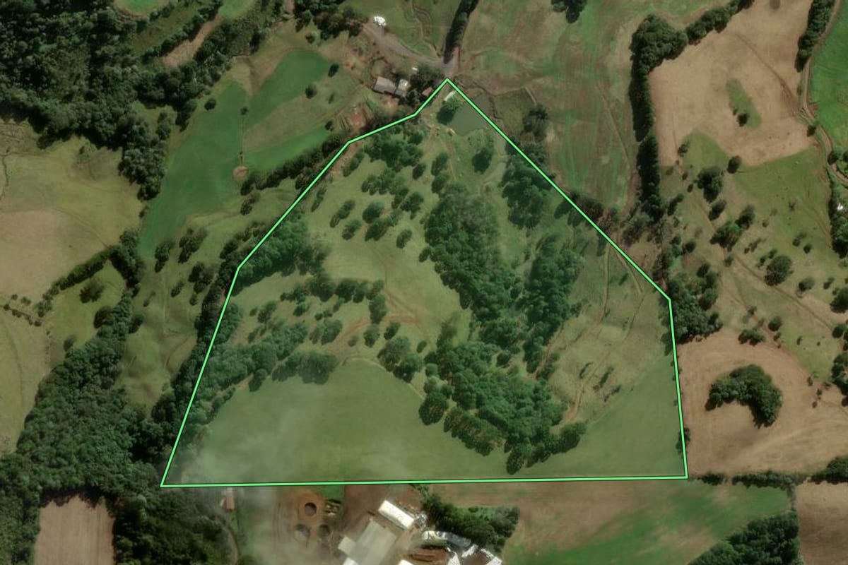 Imagem de satélite do imóvel rural em Treze Tílias (SC), com o contorno declarado no CAR desenhado por cima.