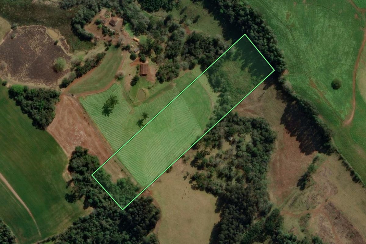 Imagem de satélite do imóvel rural em Treze Tílias (SC), com o contorno declarado no CAR desenhado por cima.