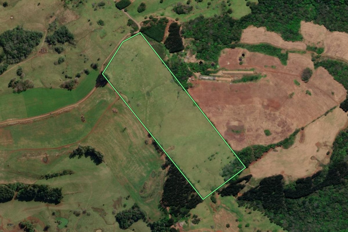 Imagem de satélite do imóvel rural em Treze Tílias (SC), com o contorno declarado no CAR desenhado por cima.
