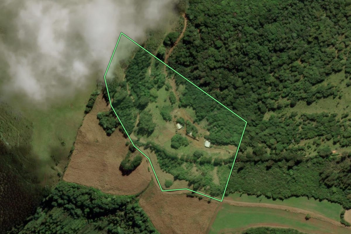 Imagem de satélite do imóvel rural em Treze Tílias (SC), com o contorno declarado no CAR desenhado por cima.
