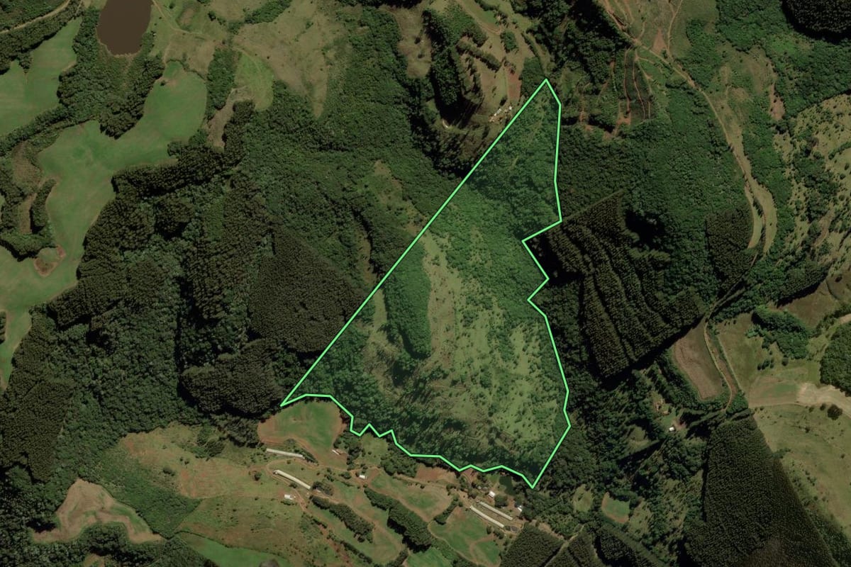 Imagem de satélite do imóvel rural em Treze Tílias (SC), com o contorno declarado no CAR desenhado por cima.
