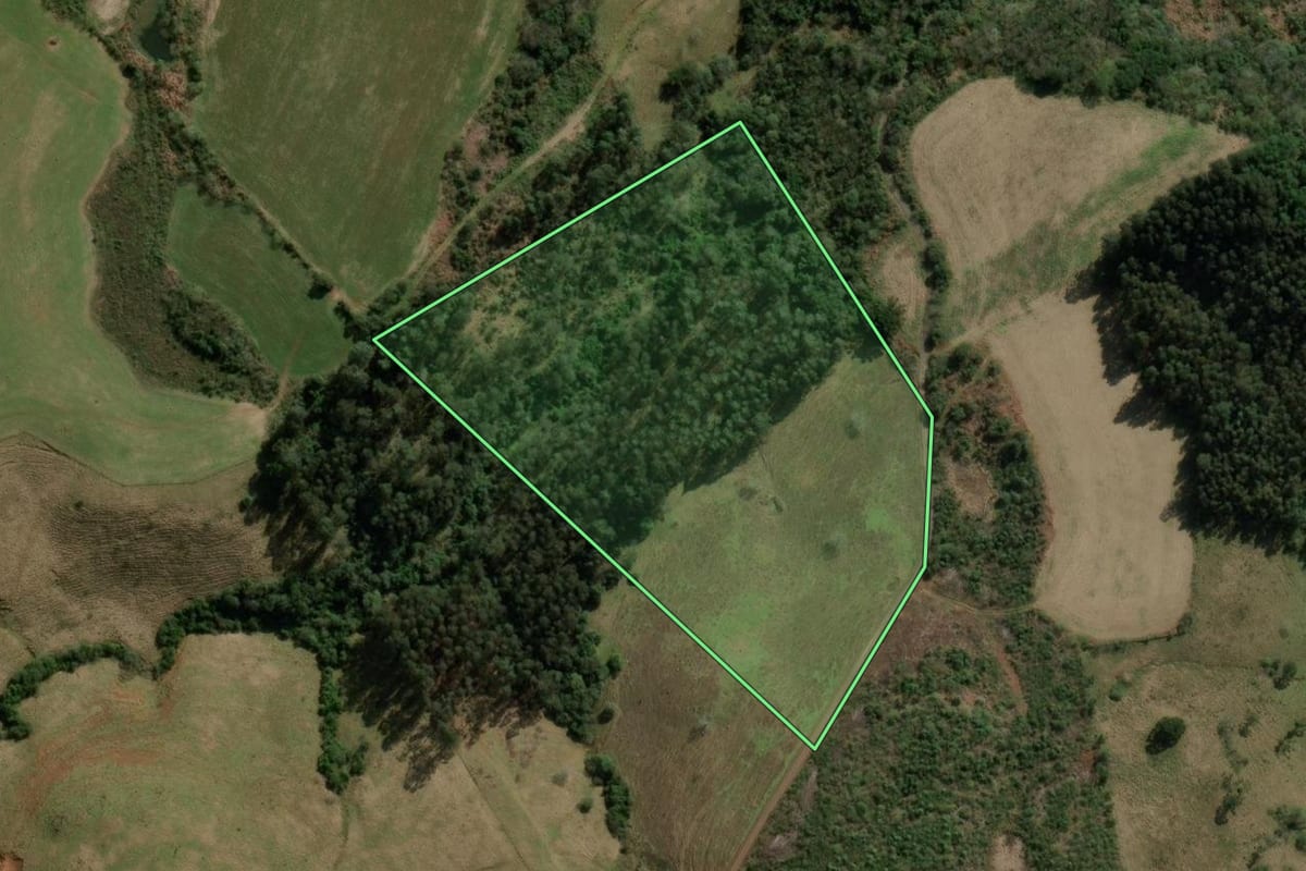 Imagem de satélite do imóvel rural em Treze Tílias (SC), com o contorno declarado no CAR desenhado por cima.