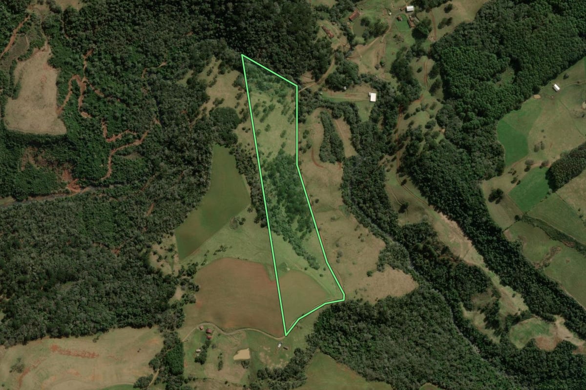 Imagem de satélite do imóvel rural em Treze Tílias (SC), com o contorno declarado no CAR desenhado por cima.