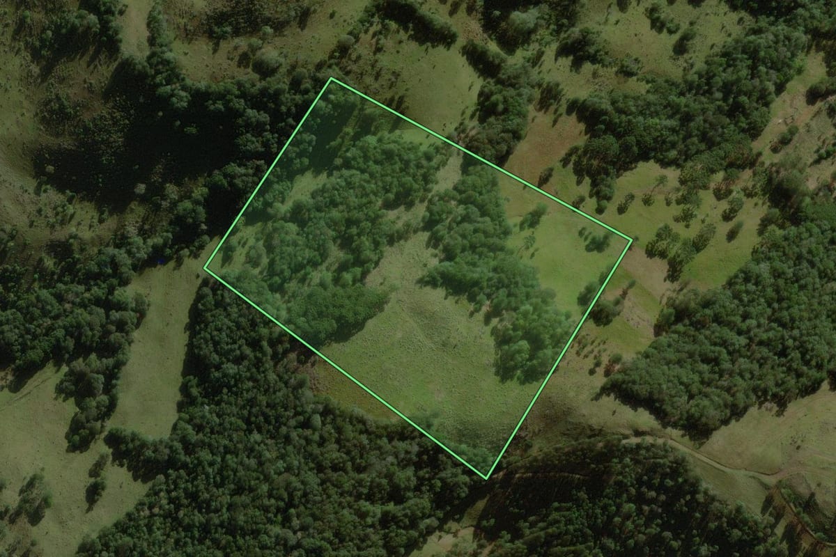 Imagem de satélite do imóvel rural em Treze Tílias (SC), com o contorno declarado no CAR desenhado por cima.