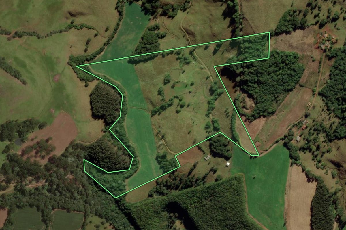 Imagem de satélite do imóvel rural em Treze Tílias (SC), com o contorno declarado no CAR desenhado por cima.