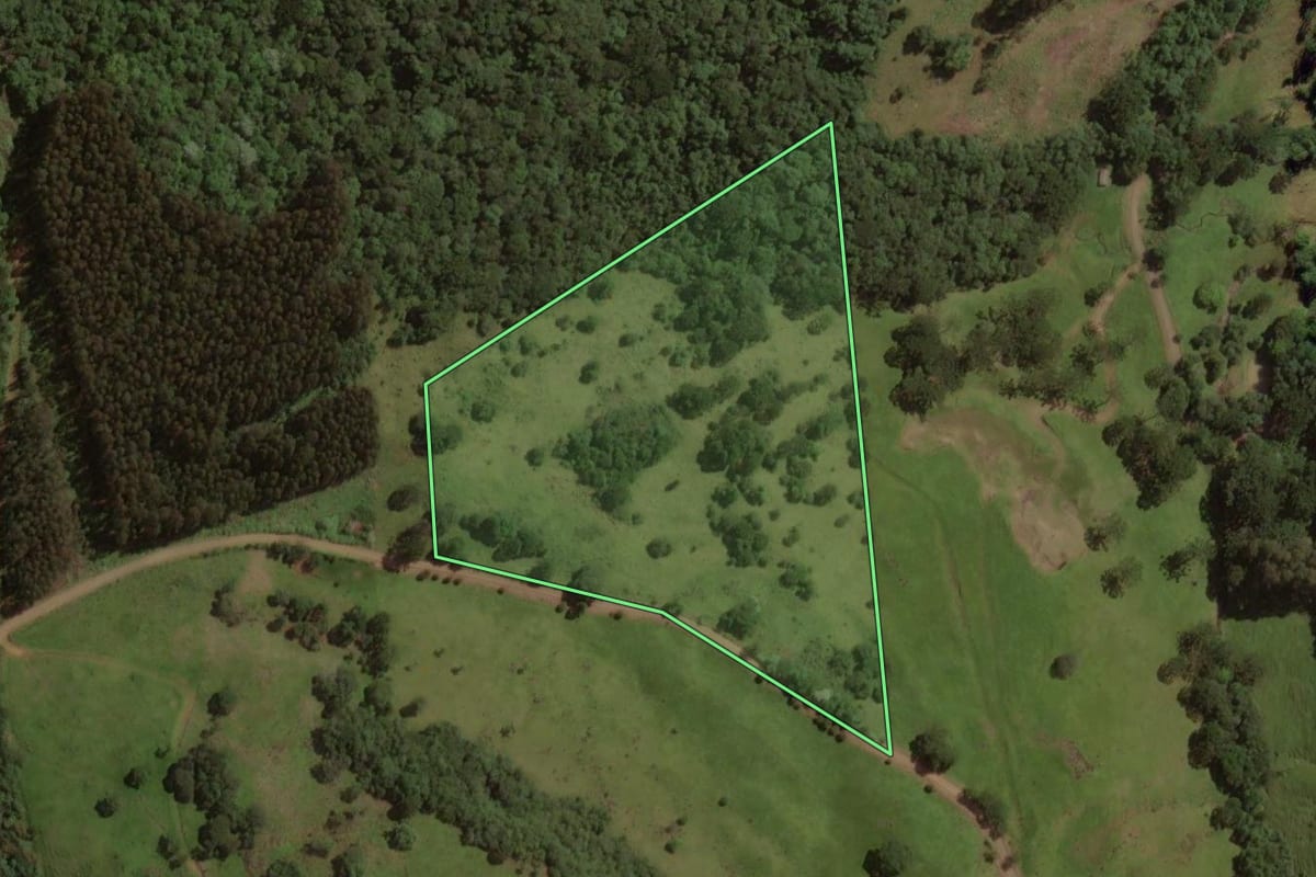 Imagem de satélite do imóvel rural em Treze Tílias (SC), com o contorno declarado no CAR desenhado por cima.