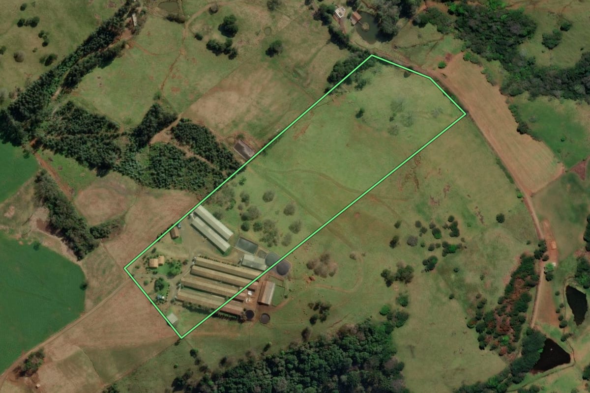 Imagem de satélite do imóvel rural em Treze Tílias (SC), com o contorno declarado no CAR desenhado por cima.