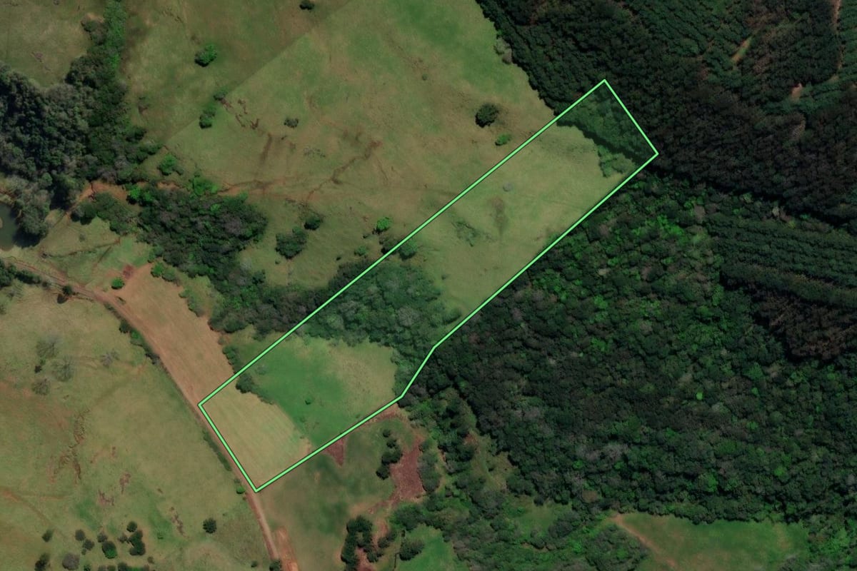 Imagem de satélite do imóvel rural em Treze Tílias (SC), com o contorno declarado no CAR desenhado por cima.