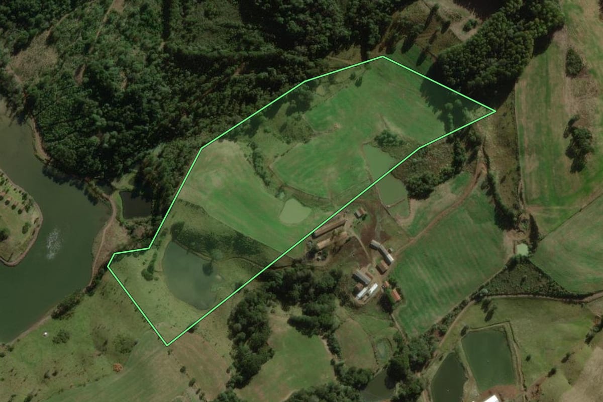 Imagem de satélite do imóvel rural em Treze Tílias (SC), com o contorno declarado no CAR desenhado por cima.