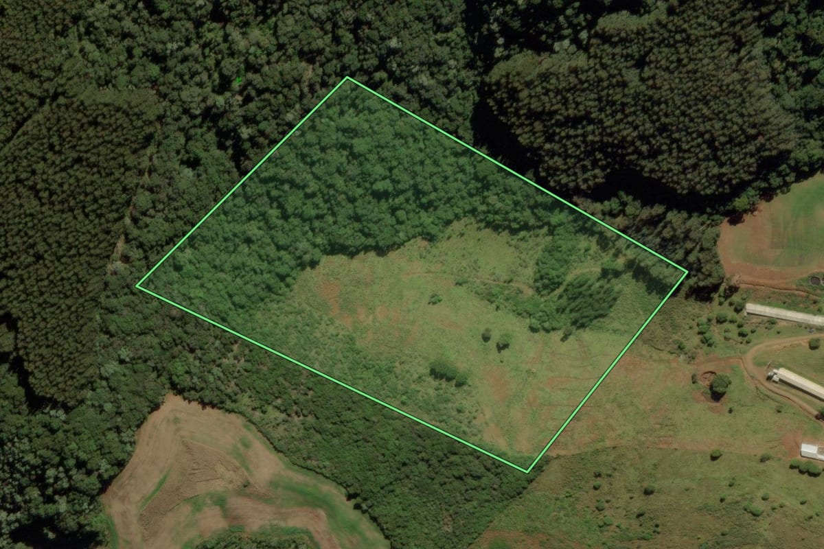Imagem de satélite do imóvel rural em Treze Tílias (SC), com o contorno declarado no CAR desenhado por cima.