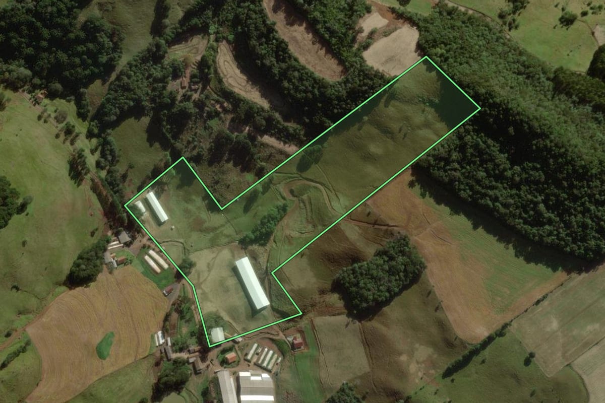Imagem de satélite do imóvel rural em Treze Tílias (SC), com o contorno declarado no CAR desenhado por cima.