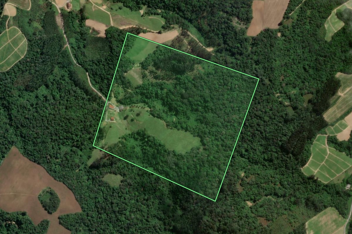 Imagem de satélite do imóvel rural em Trombudo Central (SC), com o contorno declarado no CAR desenhado por cima.