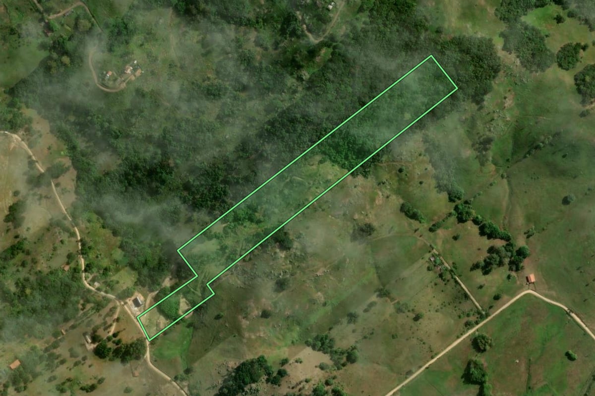 Imagem de satélite do imóvel rural em Tubarão (SC), com o contorno declarado no CAR desenhado por cima.