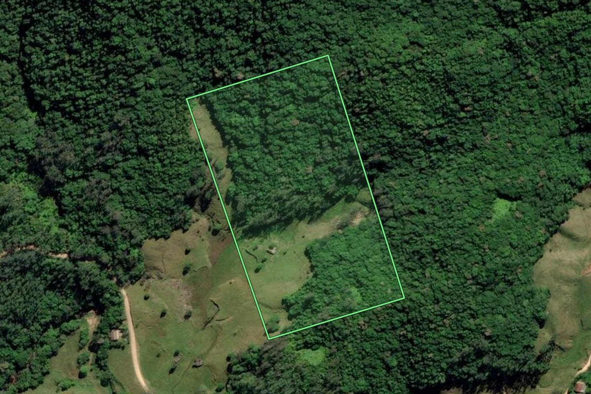 Imagem de satélite do imóvel rural em Tubarão (SC), com o contorno declarado no CAR desenhado por cima.