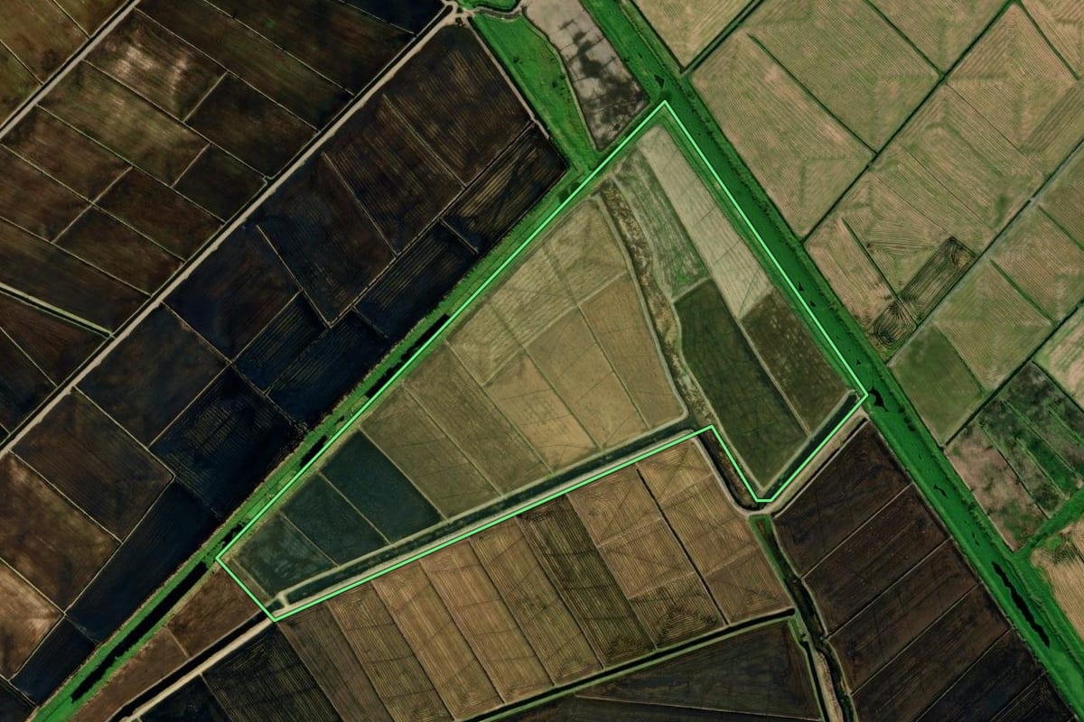 Imagem de satélite do imóvel rural em Tubarão (SC), com o contorno declarado no CAR desenhado por cima.