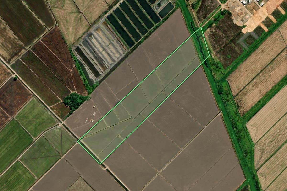 Imagem de satélite do imóvel rural em Tubarão (SC), com o contorno declarado no CAR desenhado por cima.
