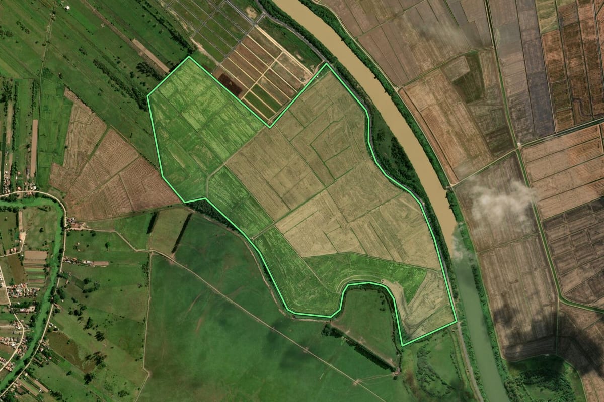 Imagem de satélite do imóvel rural em Tubarão (SC), com o contorno declarado no CAR desenhado por cima.