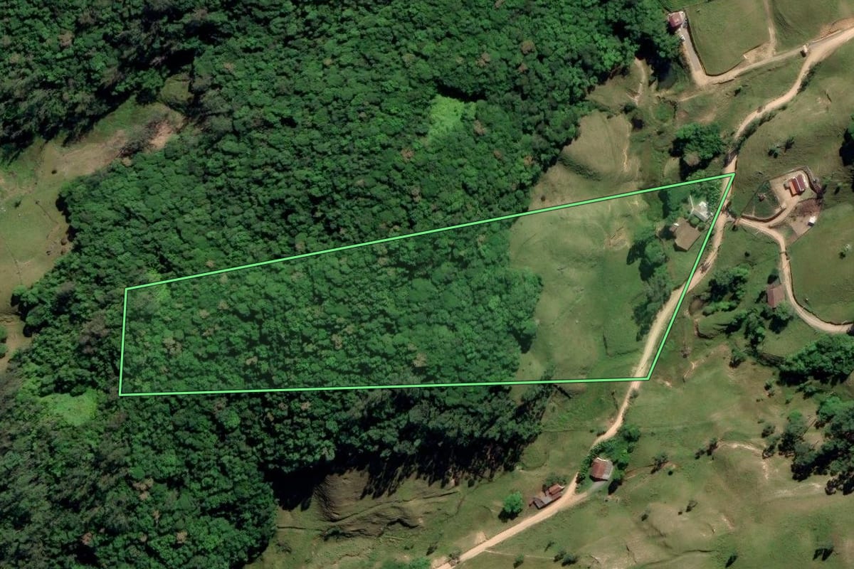 Imagem de satélite do imóvel rural em Tubarão (SC), com o contorno declarado no CAR desenhado por cima.