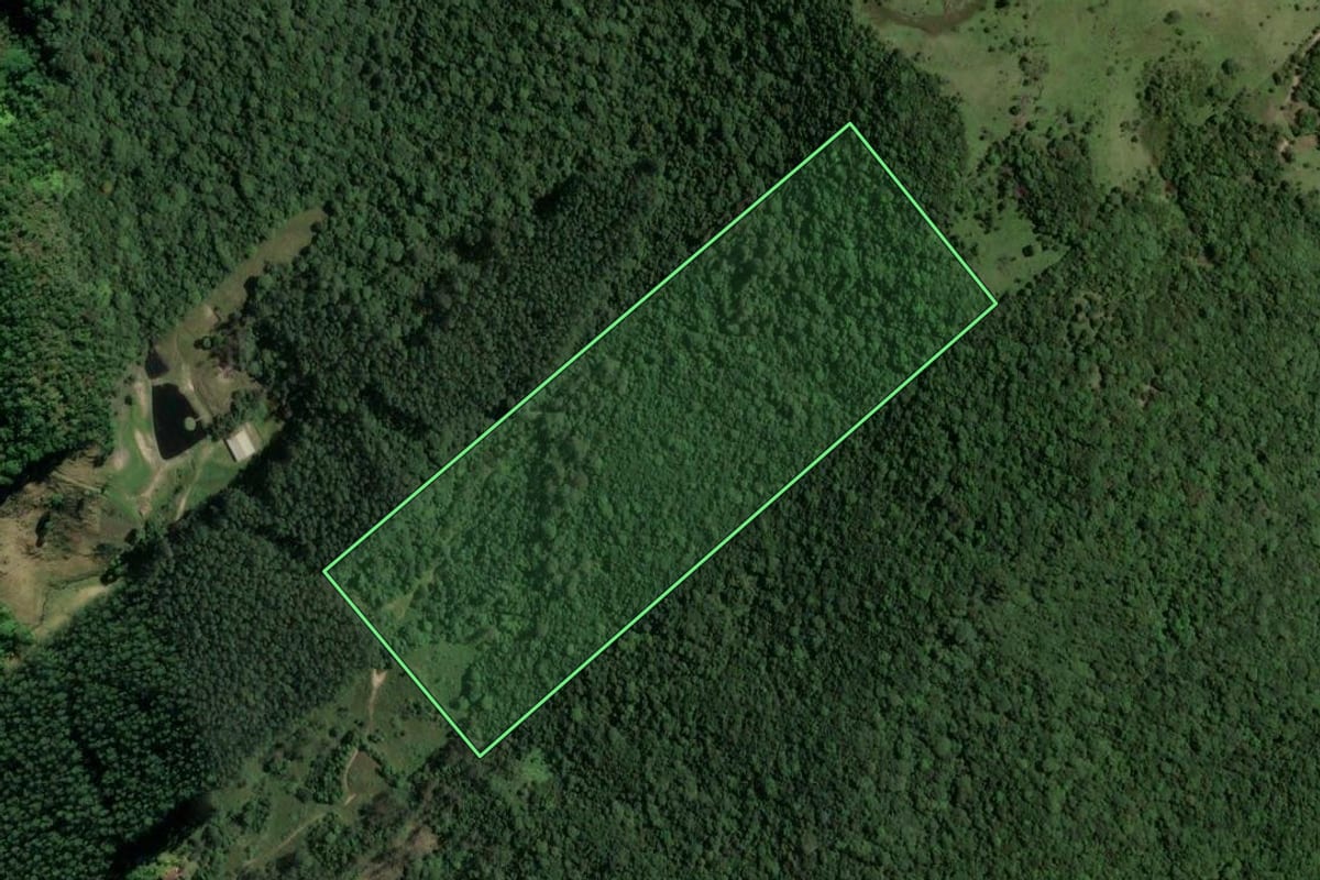 Imagem de satélite do imóvel rural em Tubarão (SC), com o contorno declarado no CAR desenhado por cima.