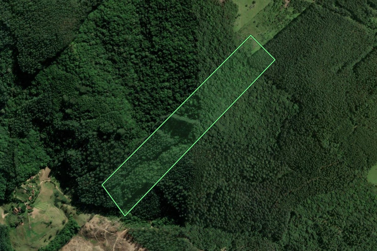 Imagem de satélite do imóvel rural em Tubarão (SC), com o contorno declarado no CAR desenhado por cima.