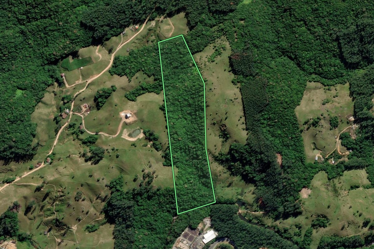 Imagem de satélite do imóvel rural em Tubarão (SC), com o contorno declarado no CAR desenhado por cima.
