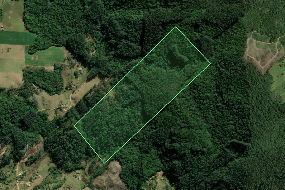Imagem de satélite do imóvel rural em Tubarão (SC), com o contorno declarado no CAR desenhado por cima.