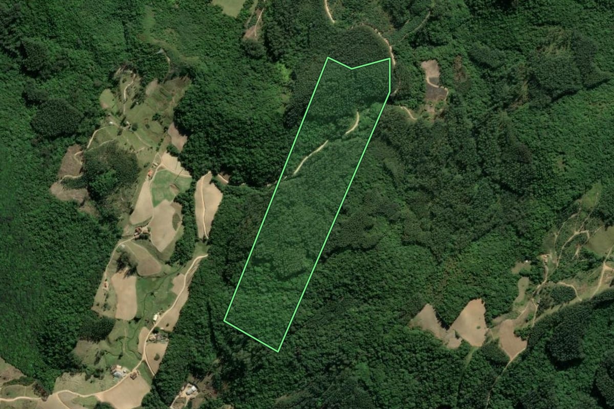 Imagem de satélite do imóvel rural em Tubarão (SC), com o contorno declarado no CAR desenhado por cima.