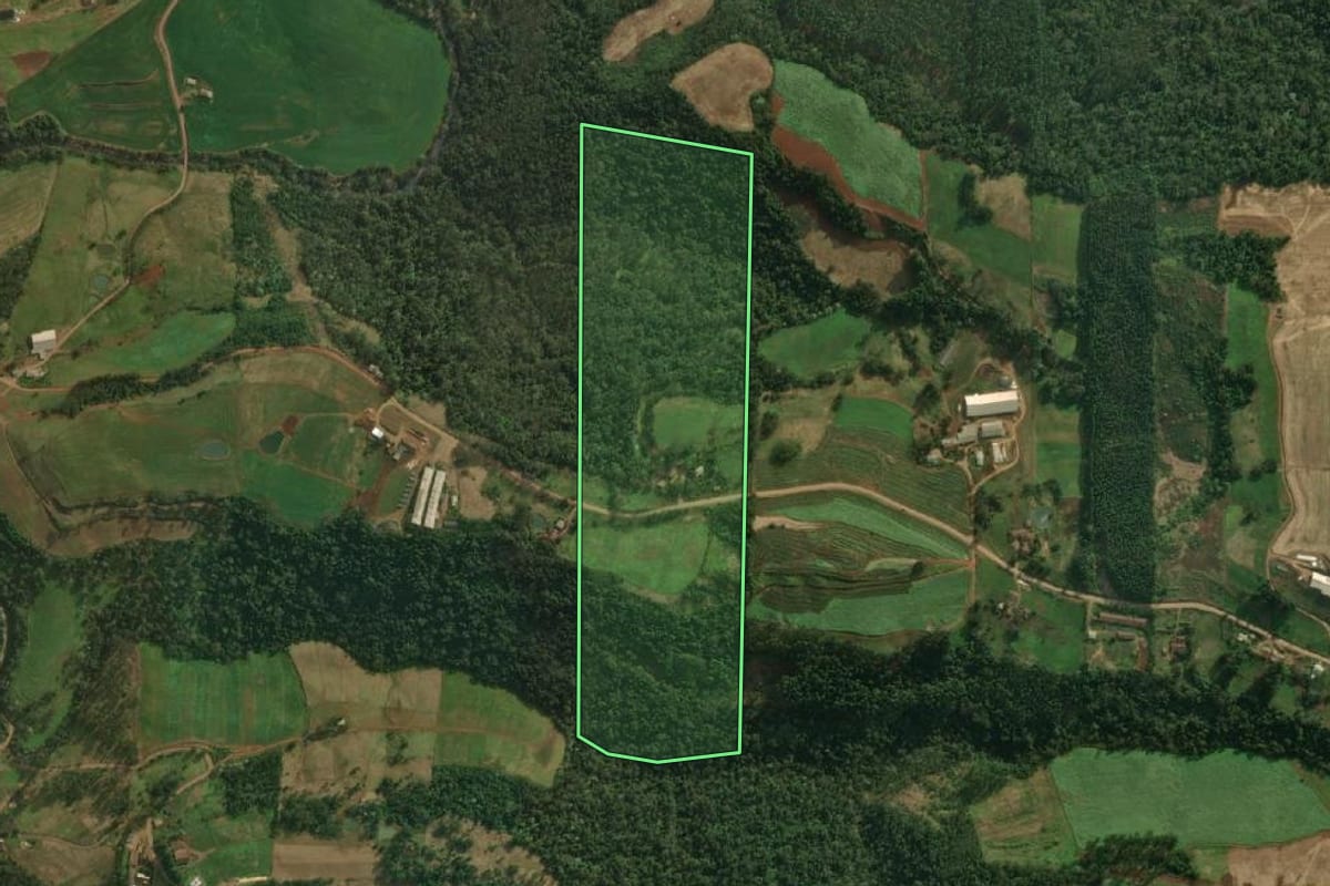 Imagem de satélite do imóvel rural em Tunápolis (SC), com o contorno declarado no CAR desenhado por cima.