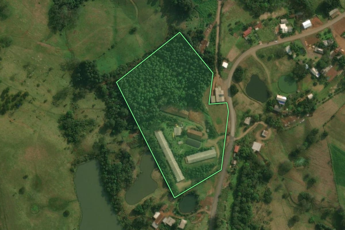 Imagem de satélite do imóvel rural em Tunápolis (SC), com o contorno declarado no CAR desenhado por cima.