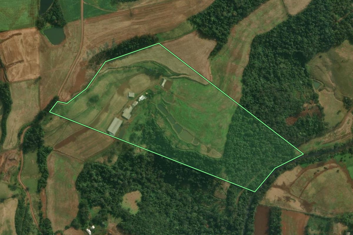 Imagem de satélite do imóvel rural em Tunápolis (SC), com o contorno declarado no CAR desenhado por cima.