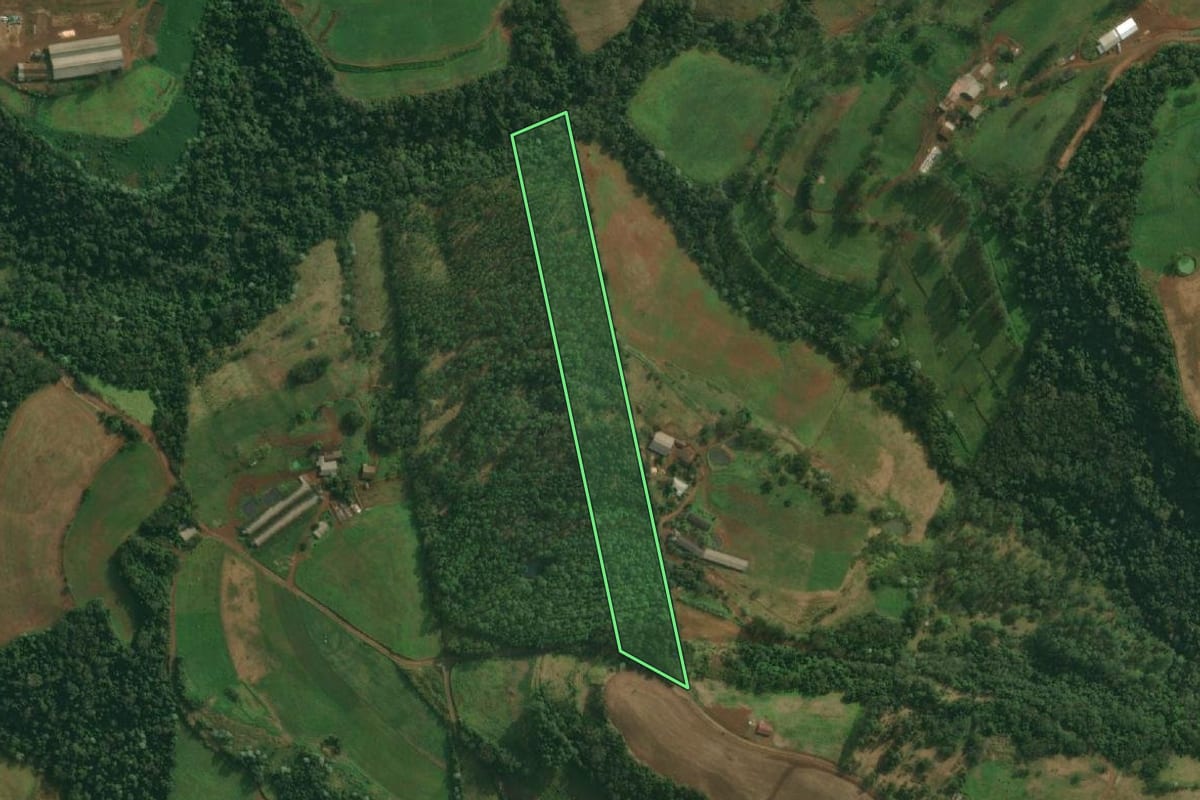 Imagem de satélite do imóvel rural em Tunápolis (SC), com o contorno declarado no CAR desenhado por cima.