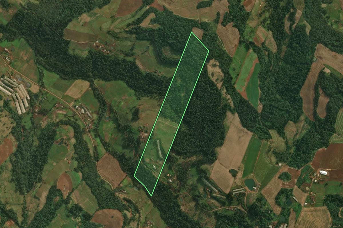 Imagem de satélite do imóvel rural em Tunápolis (SC), com o contorno declarado no CAR desenhado por cima.
