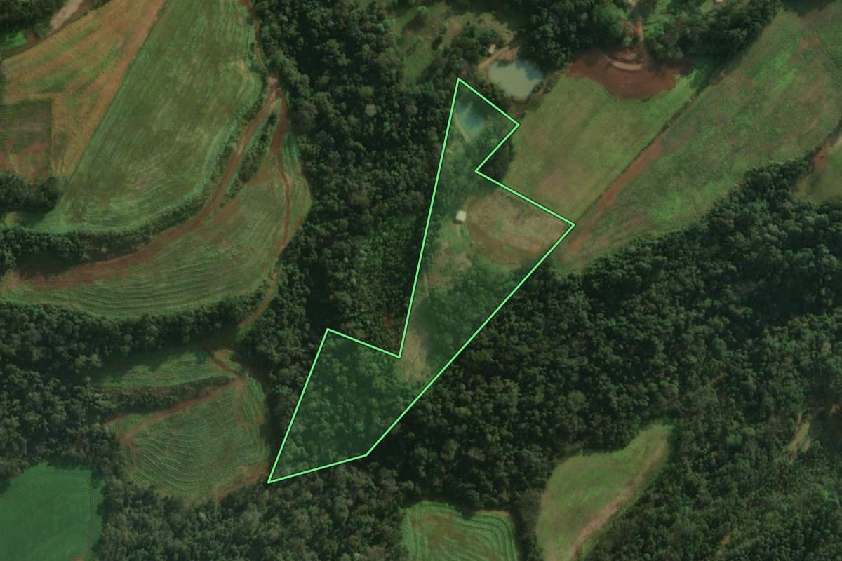 Imagem de satélite do imóvel rural em Tunápolis (SC), com o contorno declarado no CAR desenhado por cima.
