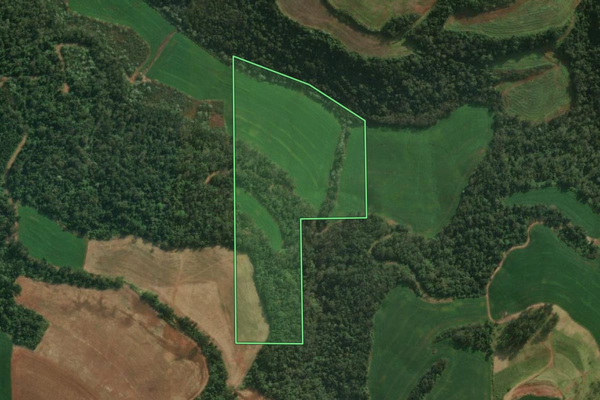 Imagem de satélite do imóvel rural em Tunápolis (SC), com o contorno declarado no CAR desenhado por cima.