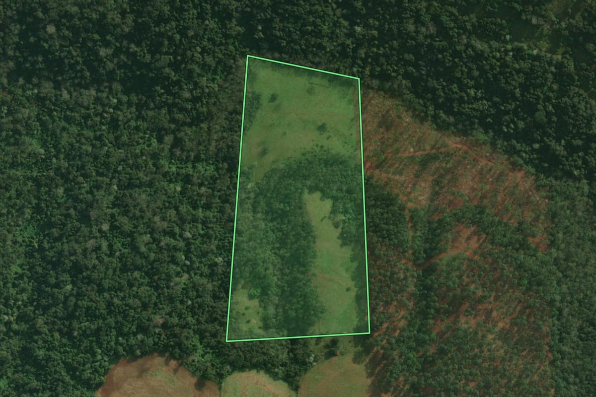 Imagem de satélite do imóvel rural em Tunápolis (SC), com o contorno declarado no CAR desenhado por cima.