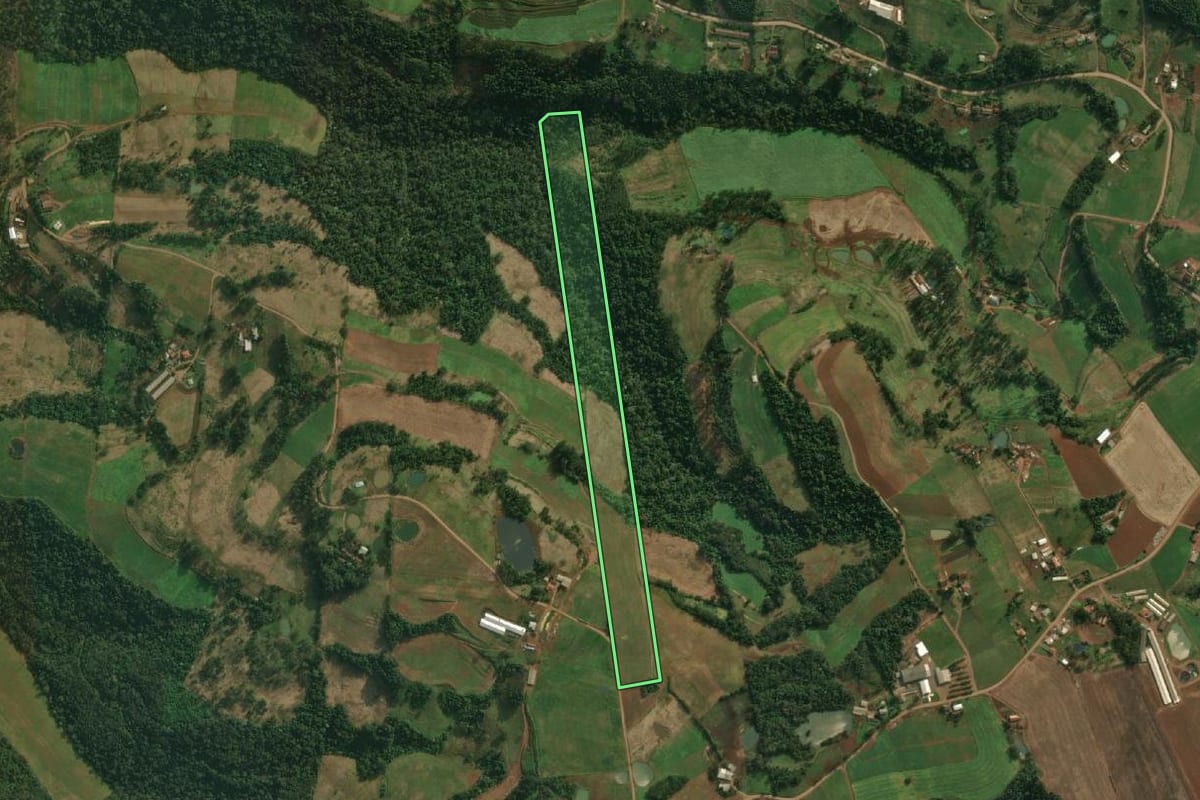 Imagem de satélite do imóvel rural em Tunápolis (SC), com o contorno declarado no CAR desenhado por cima.