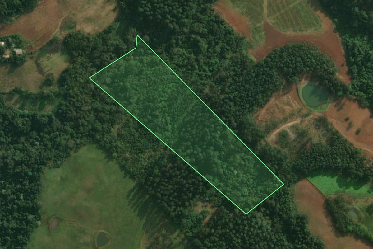 Imagem de satélite do imóvel rural em Tunápolis (SC), com o contorno declarado no CAR desenhado por cima.