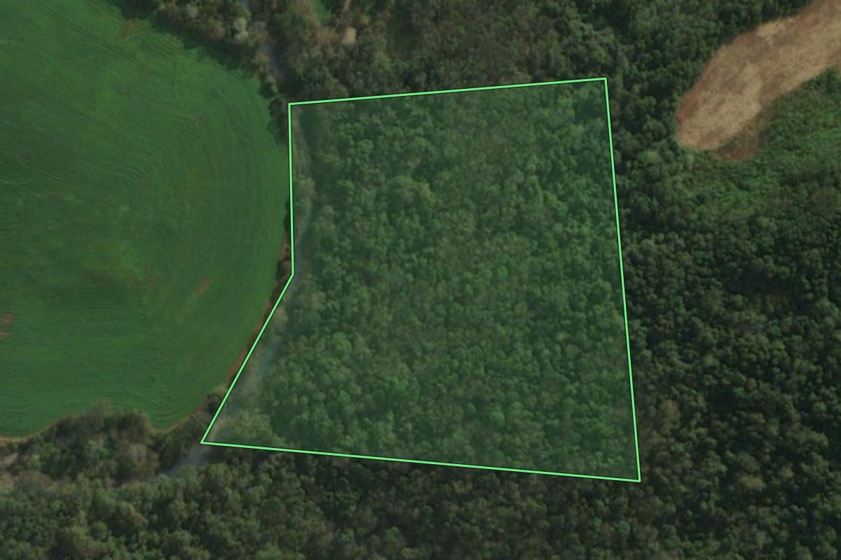Imagem de satélite do imóvel rural em Tunápolis (SC), com o contorno declarado no CAR desenhado por cima.