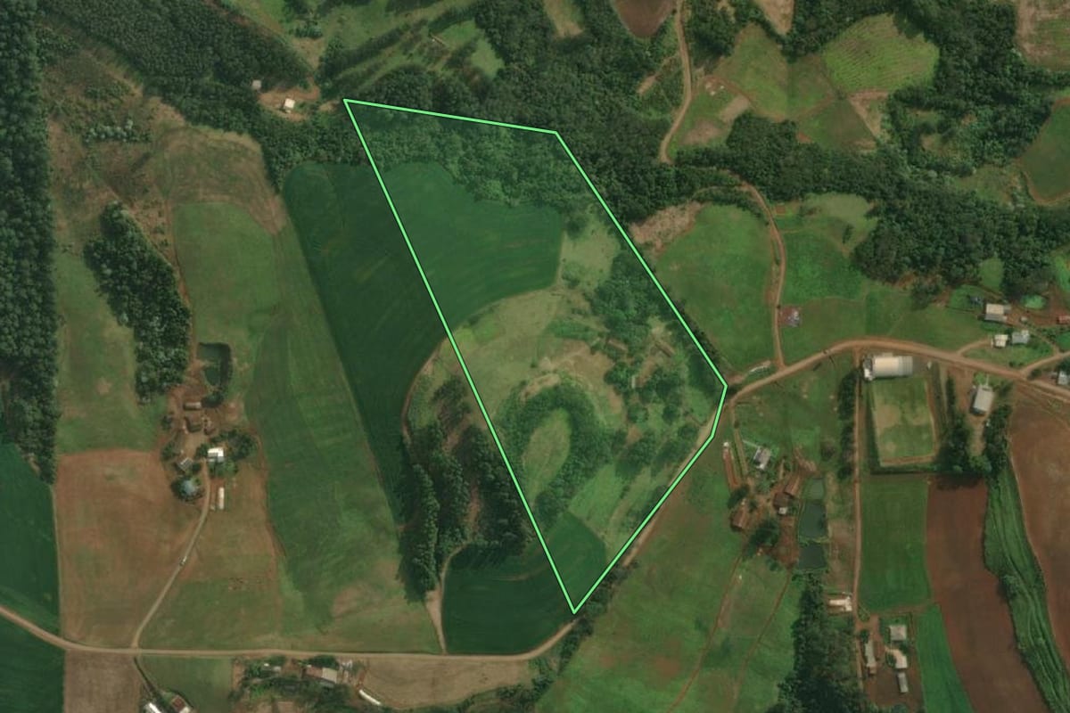 Imagem de satélite do imóvel rural em Tunápolis (SC), com o contorno declarado no CAR desenhado por cima.
