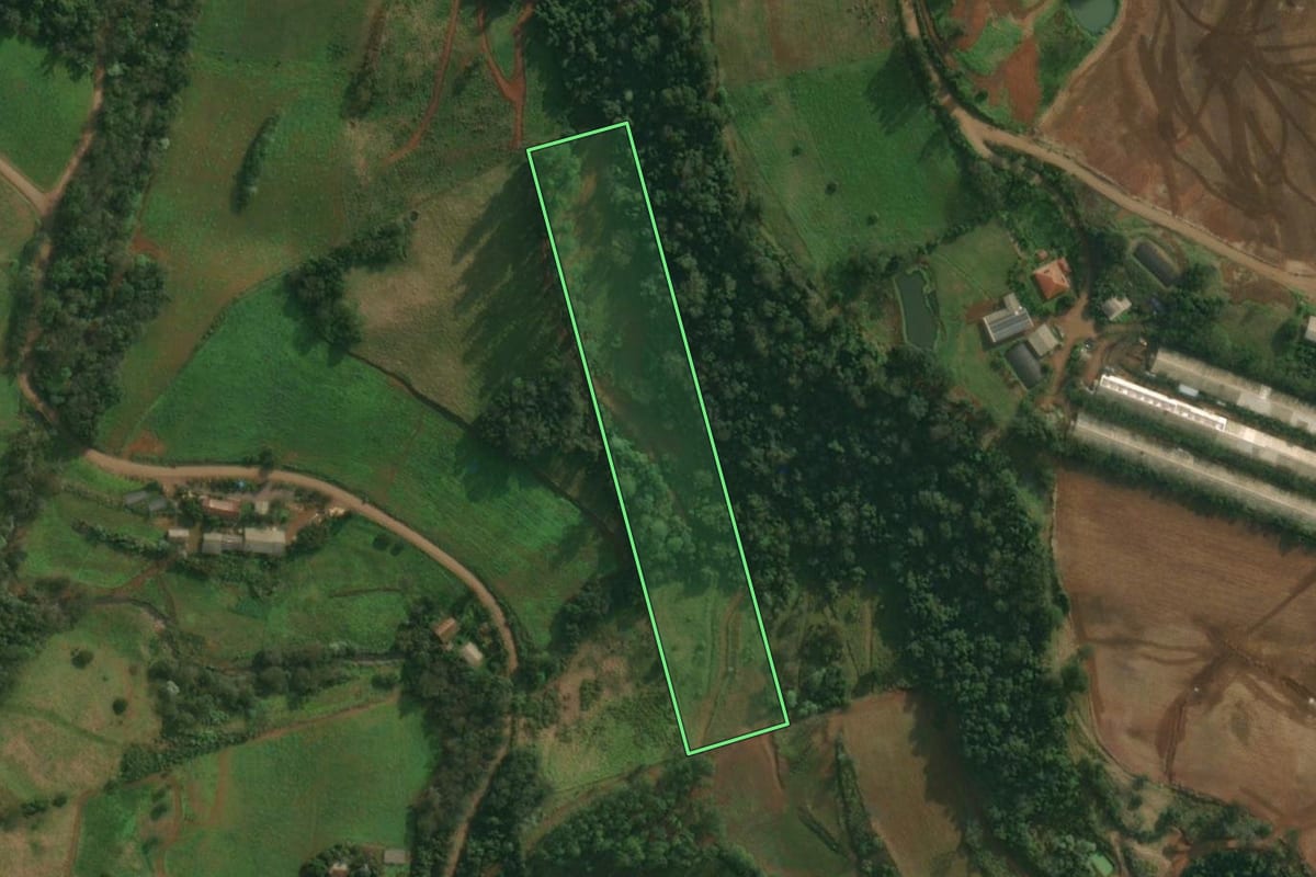 Imagem de satélite do imóvel rural em Tunápolis (SC), com o contorno declarado no CAR desenhado por cima.