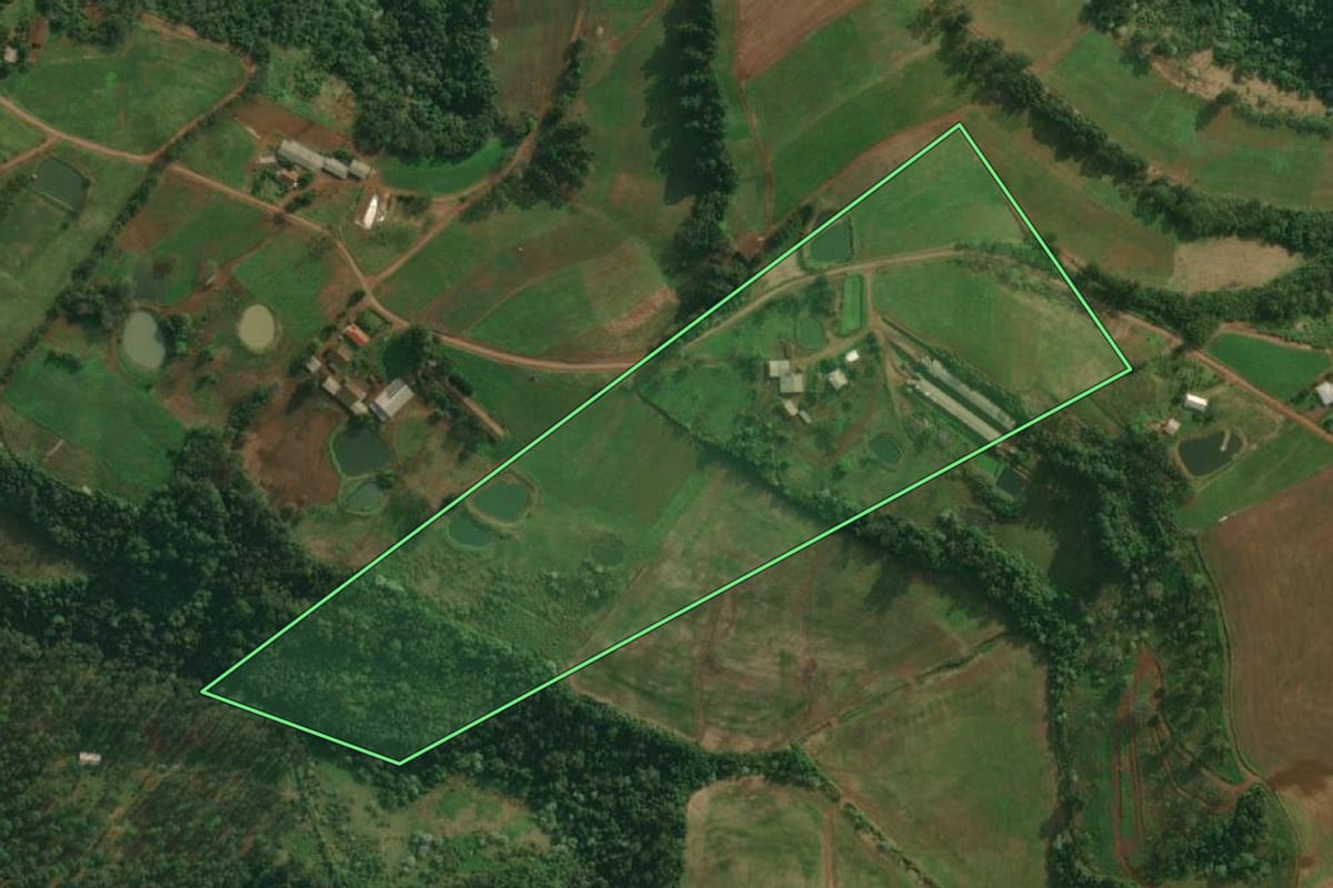 Imagem de satélite do imóvel rural em Tunápolis (SC), com o contorno declarado no CAR desenhado por cima.